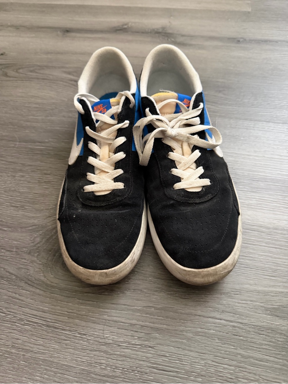 Nike Black and Blue Low-Top Skate Sneakers